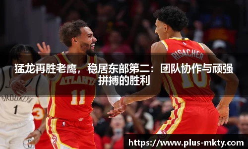 猛龙再胜老鹰，稳居东部第二：团队协作与顽强拼搏的胜利